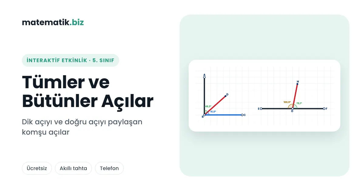 5. Sınıf Tümler ve Bütünler Açılar (İnteraktif Etkinlik)
