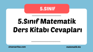 5.Sınıf Matematik Ders Kitabı Cevapları