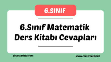 6.Sınıf Matematik Ders Kitabı Cevapları