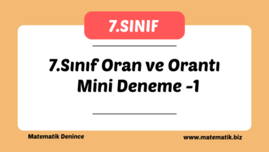 7.Sınıf Oran ve Orantı Mini Deneme -1