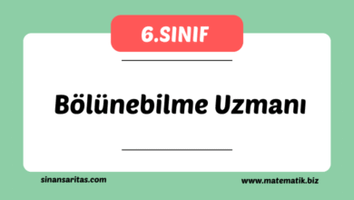 Bölünebilme Uzmanı
