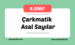 Sinan Sarıtaş