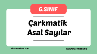 Çarkmatik Asal Sayılar