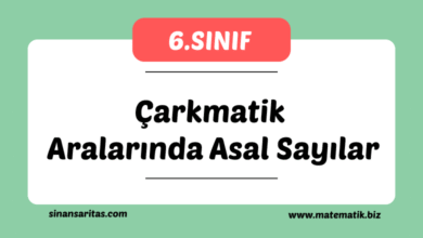 Çarkmatik Aralarında Asal Sayılar