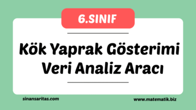 Kök Yaprak Gösterimi Veri Analiz Aracı