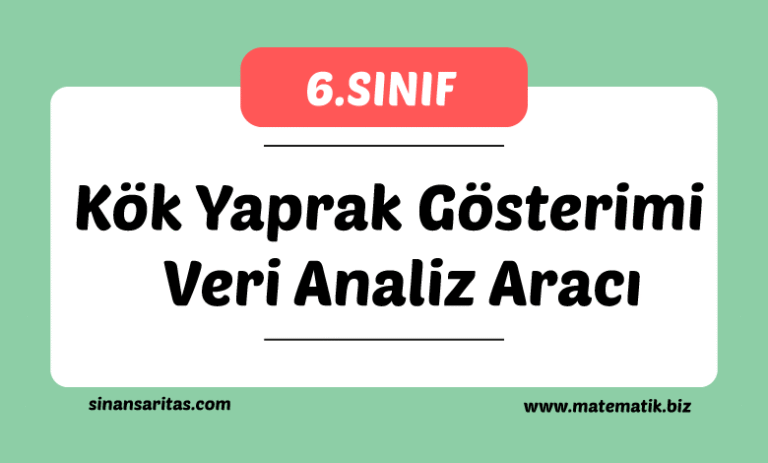 Kök Yaprak Gösterimi Veri Analiz Aracı