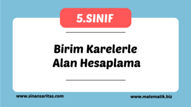 Birim Karelerle Alan Hesaplama