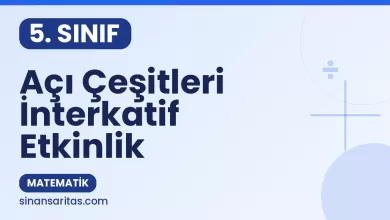 Açı Çeşitleri İnterkatif Etkinlik