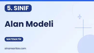 Alan Modeli