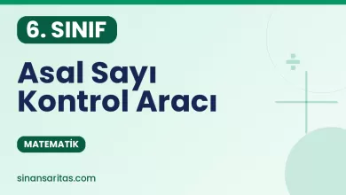 Asal Sayı Kontrol Aracı