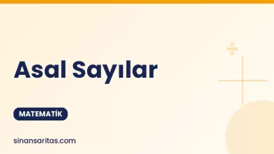 Asal Sayılar