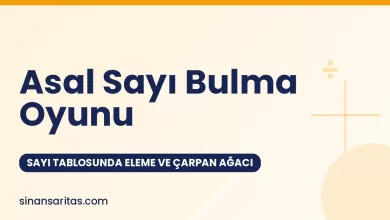 Asal Sayılar Oyunu