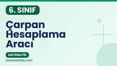 Çarpan Hesaplama Aracı