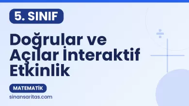 Doğrular ve Açılar İnteraktif Etkinlik