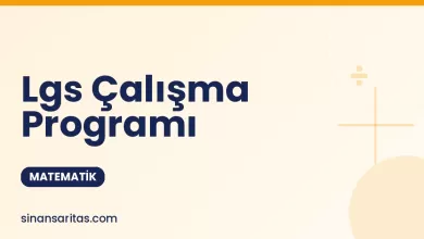 Lgs Çalışma Programı
