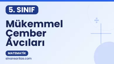 Mükemmel Çember Avcıları