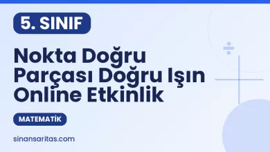 Nokta Doğru Parçası Doğru Işın Online Etkinlik