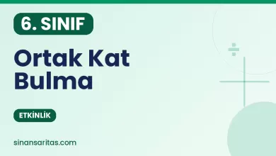 Ortak Kat Bulma Etkinliği
