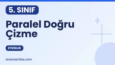 Paralel Doğru Çizme Etkinliği