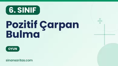 Pozitif Çarpan Bulma Oyunu