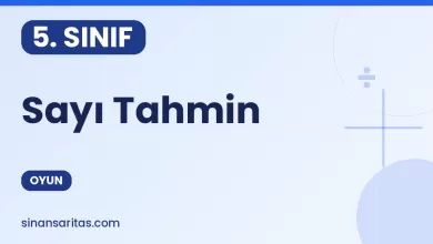 Sayı Tahmin Oyunu