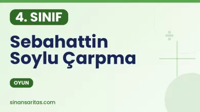 Sebahattin Soylu Çarpma Oyunu