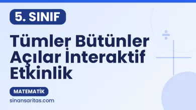 Tümler Bütünler Açılar İnteraktif Etkinlik